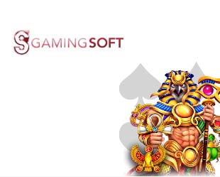 s Gaming Soft